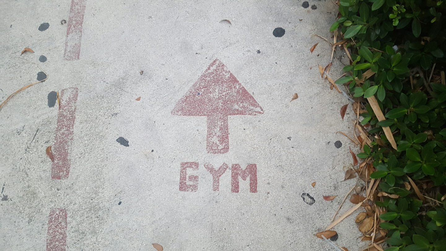 Designing a State-of-the-Art Gym for Your Pupils